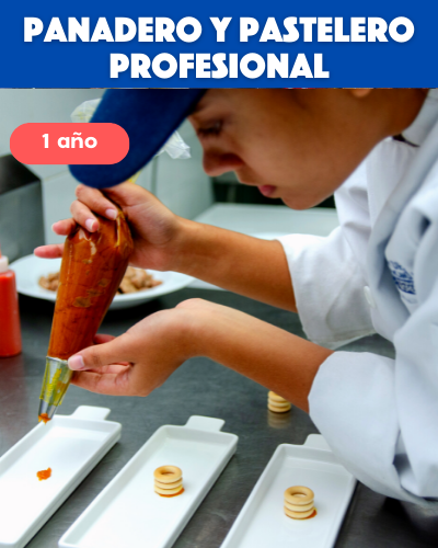 Panadero y Pastelero Profesional