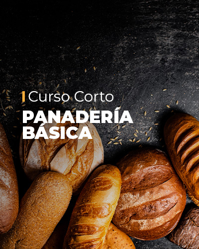 Panadería Básica