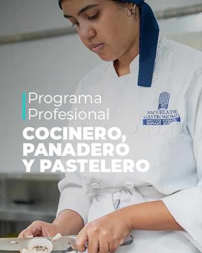 Cocinero, Panadero y Pastelero Profesional 