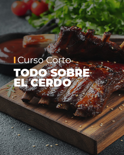 Todo sobre Cerdo